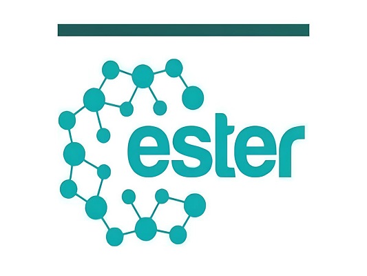 Fresh Brand Identity Unveiled for 40 Year Anniversary Celebration