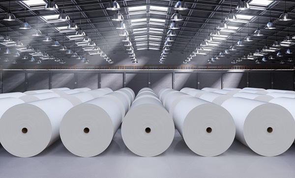 A New Era for Paper: Where Sustainability Meets Innovation